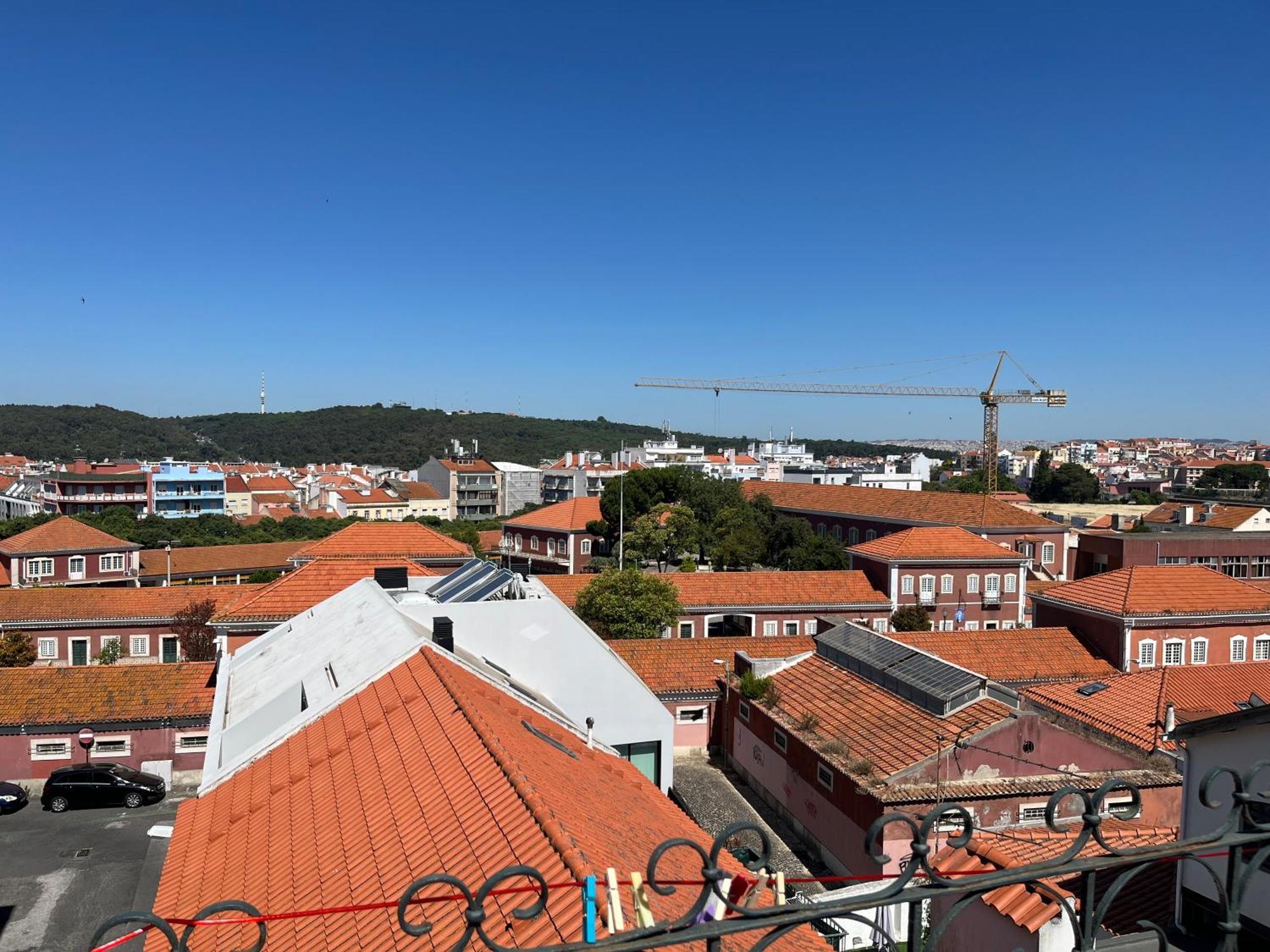No Isabela Lisboa
